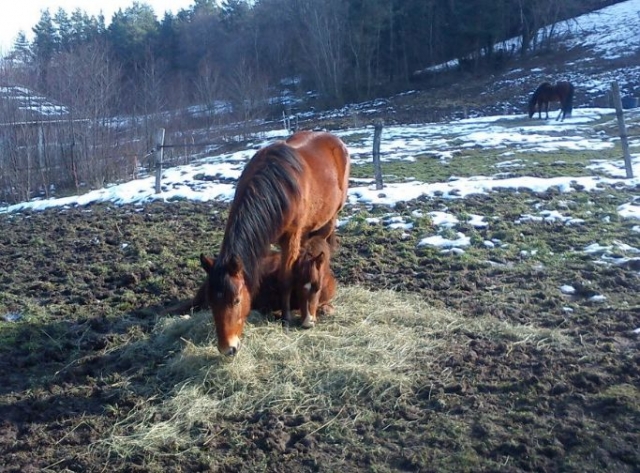 Heure de manger